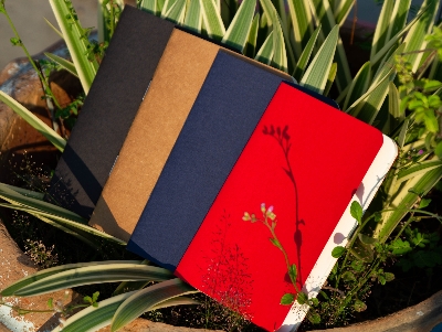 Picture of Pocket Book Black, Blue, Kraft & Red Notebook 4-Pack