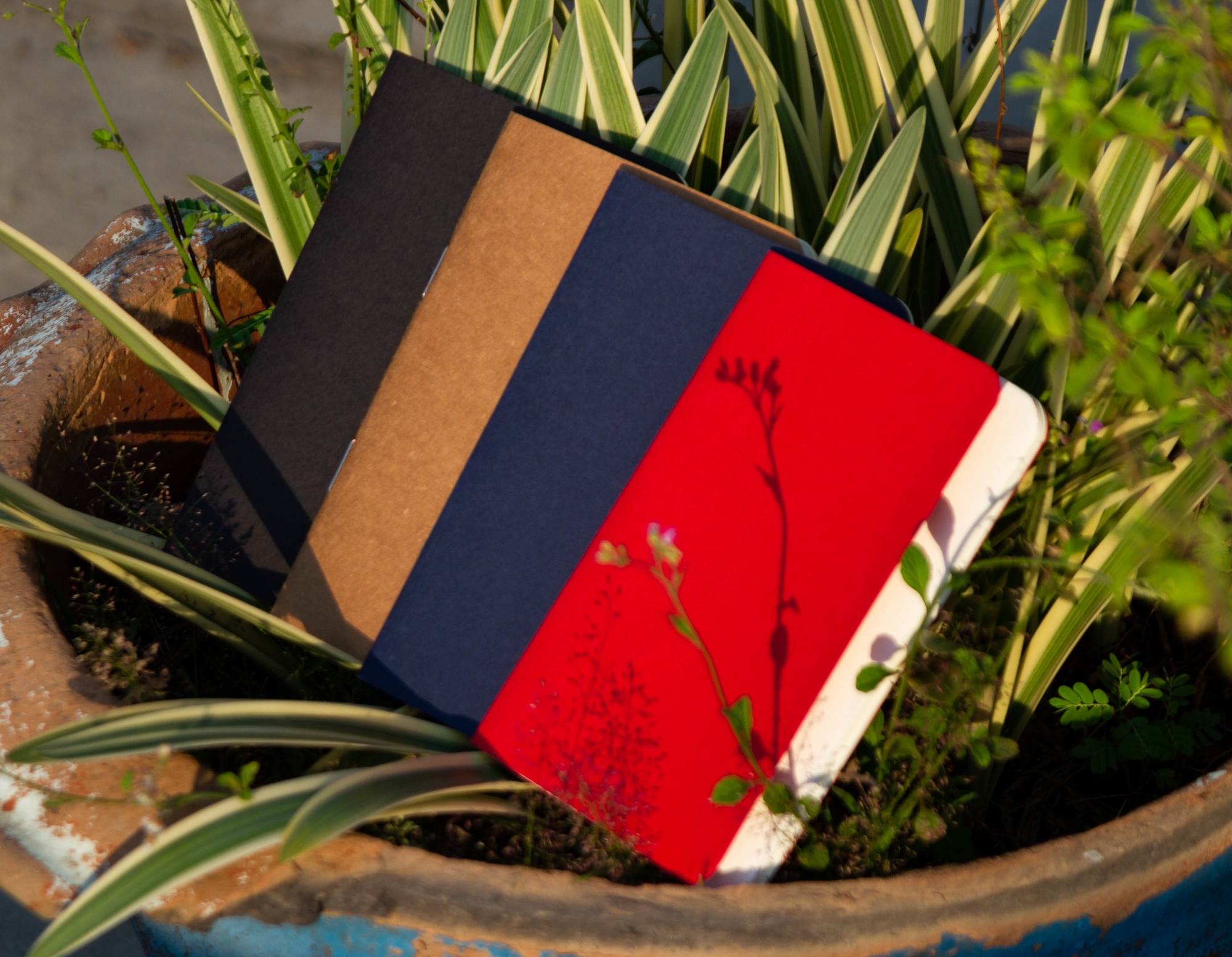 Picture of Pocket Book Black, Blue, Kraft & Red Notebook 4-Pack
