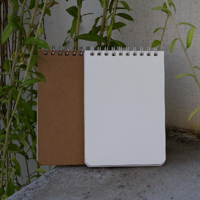 Picture of Memo Book Silver & White Double-O Ring Notebook 2-Pack