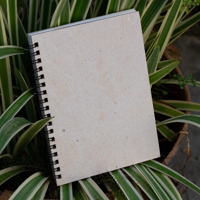 Picture of Sevendaysnotes No branding No publicity Notebook (Recycled Tosa Board Cover)