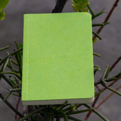 Picture of Yellowish Page Hand Made Green Cover Notebook