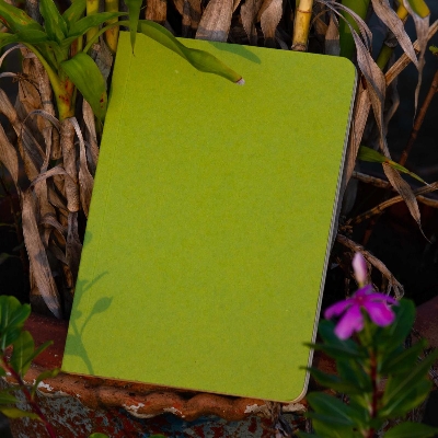 Picture of Explorer Notebook (Jute Handmade Green Board Cover)