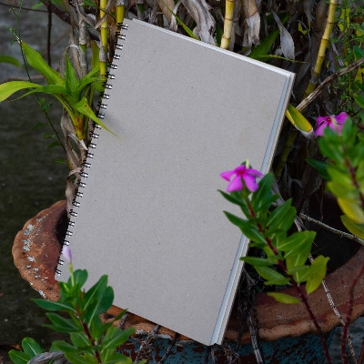 Picture of Sevendaysnotes Big Canvas Portrait Size(W- 7.9 in x H- 10.9 in) - No Branding No Publicity Notebook