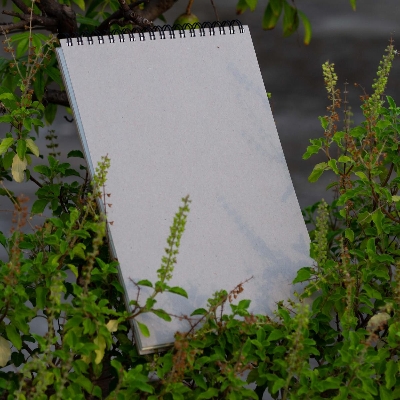 Picture of Sevendaysnotes Wide Landscape Series(W- 9.9 in x H- 6.9 in) - No Branding No Publicity Notebook