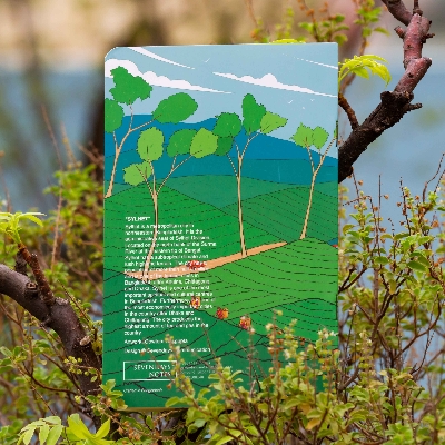 Picture of Sylhet Notebook (SN202108148)