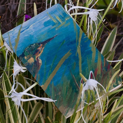 Picture of The Kingfisher Notebook (SN202108152)