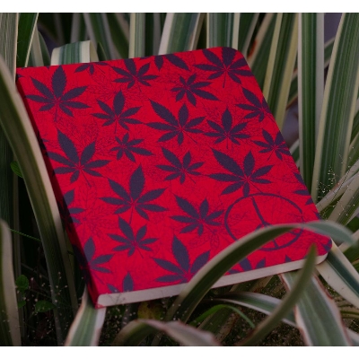 Picture of Leaf Series Red Leaf Notebook (SN20201125)