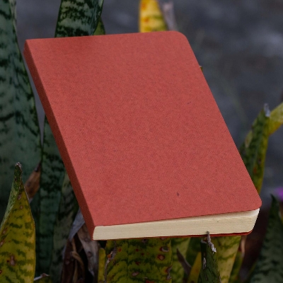 Picture of Tent Series Yellowish Page Hand Made Pinewood Texture Cover Notebook