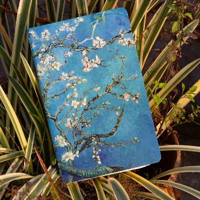 Picture of Almond Blossoms Grid Graph Notebook (SN202130133)