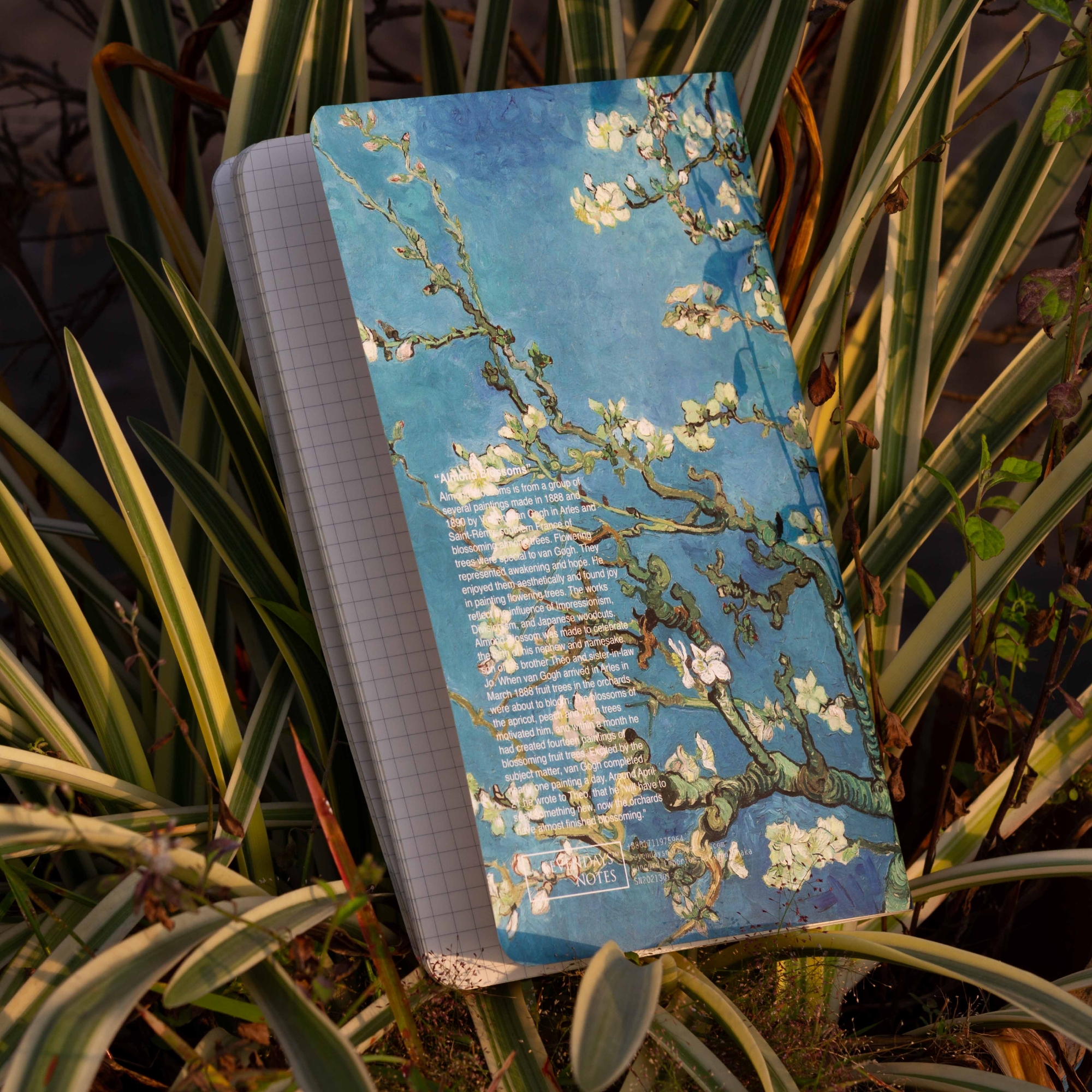 Picture of Almond Blossoms Grid Graph Notebook (SN202130133)