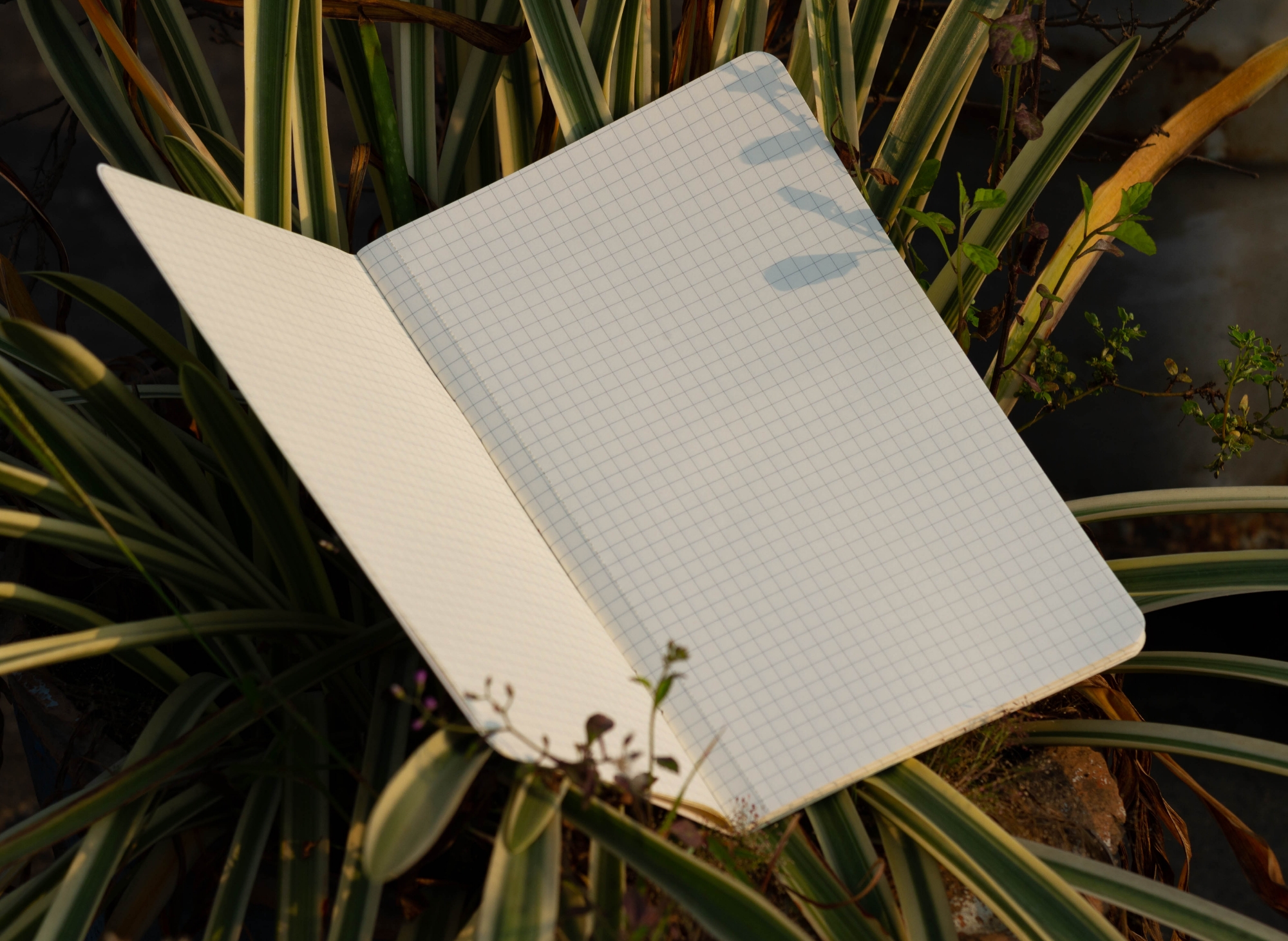 Picture of Almond Blossoms Grid Graph Notebook (SN202130133)