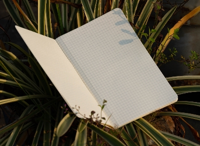 Picture of Almond Blossoms Grid Graph Notebook (SN202130133)