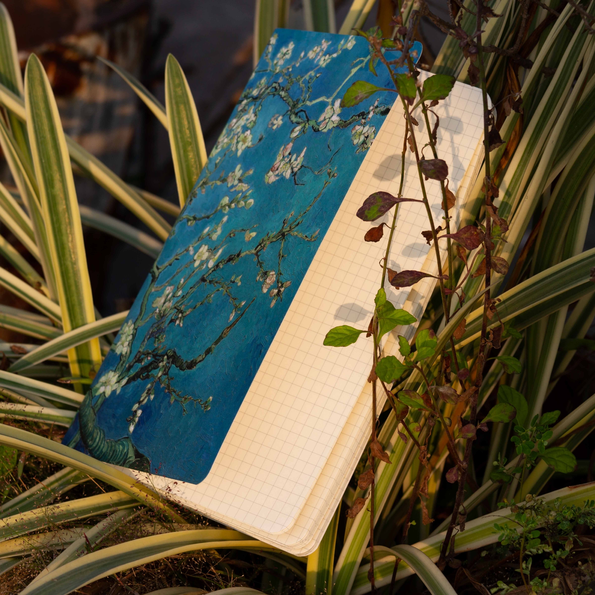 Picture of Almond Blossoms Grid Graph Notebook (SN202130133)