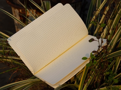 Picture of Almond Blossoms Grid Graph Notebook (SN202130133)
