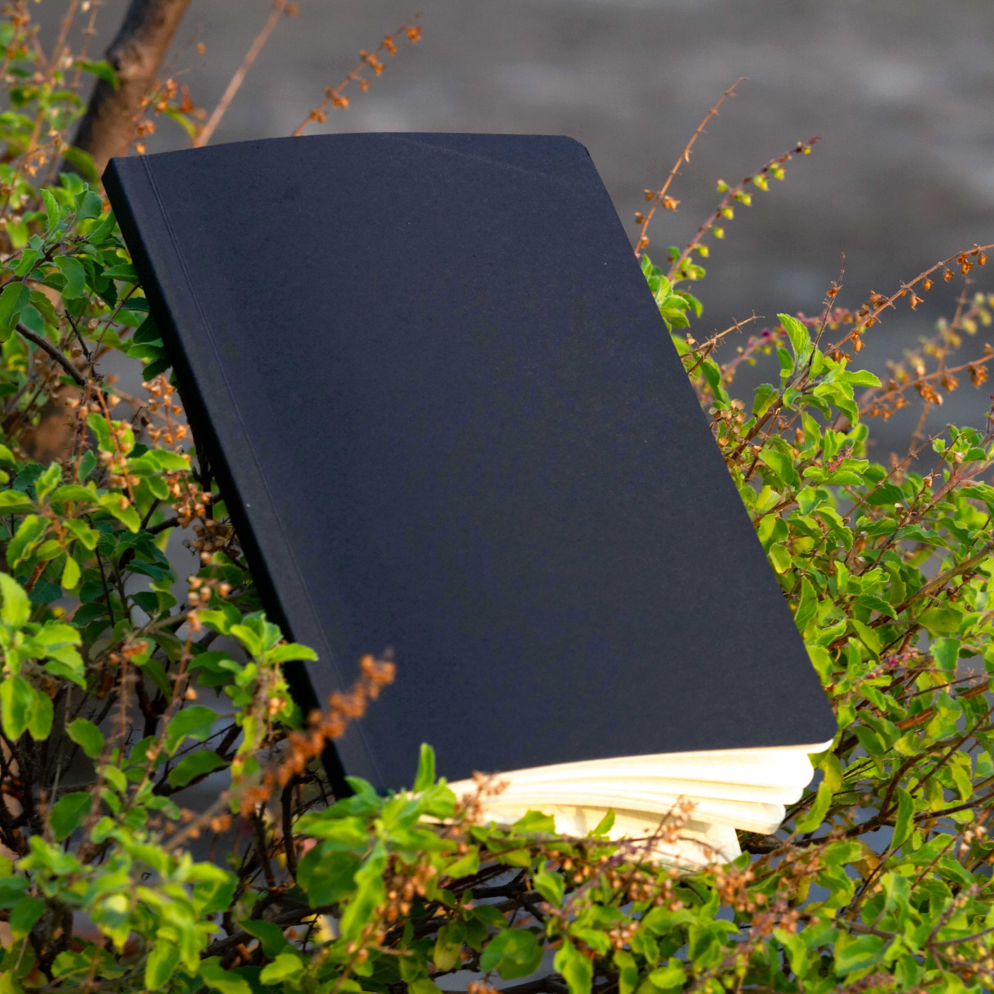 Picture of Designer Series Black Graph Grid Notebook