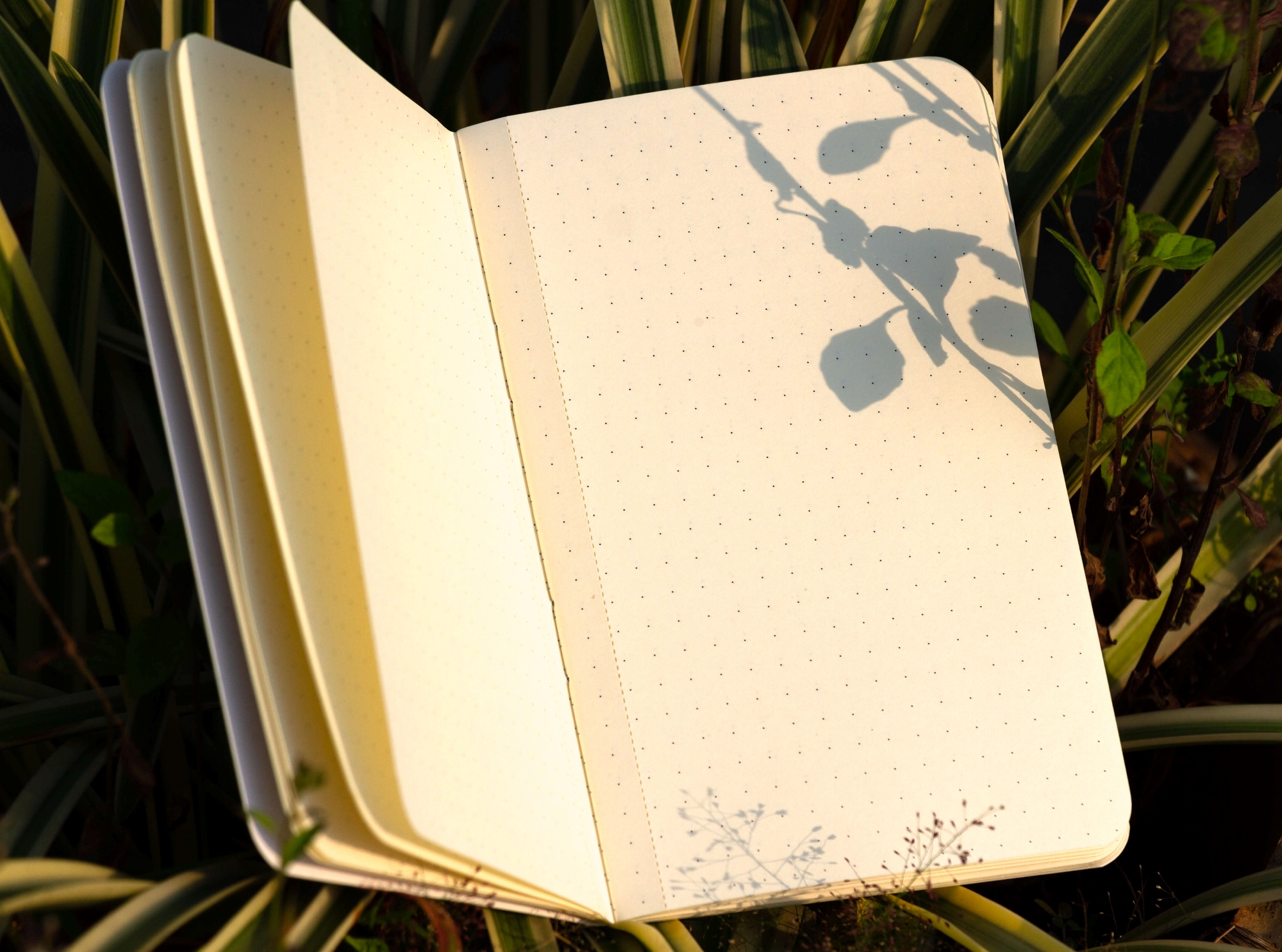 Picture of Dhaka Travel Size Dotted Grid Notebook (SN202008122)