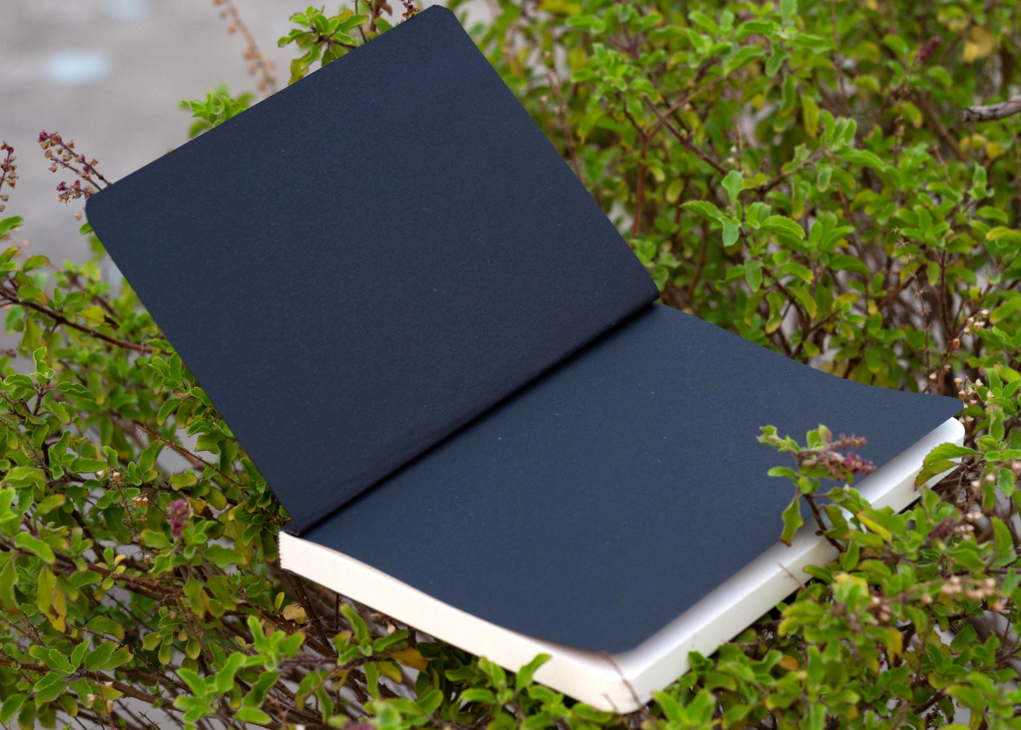 Picture of Daily Journal Dotted Black Notebook with Elastic Band