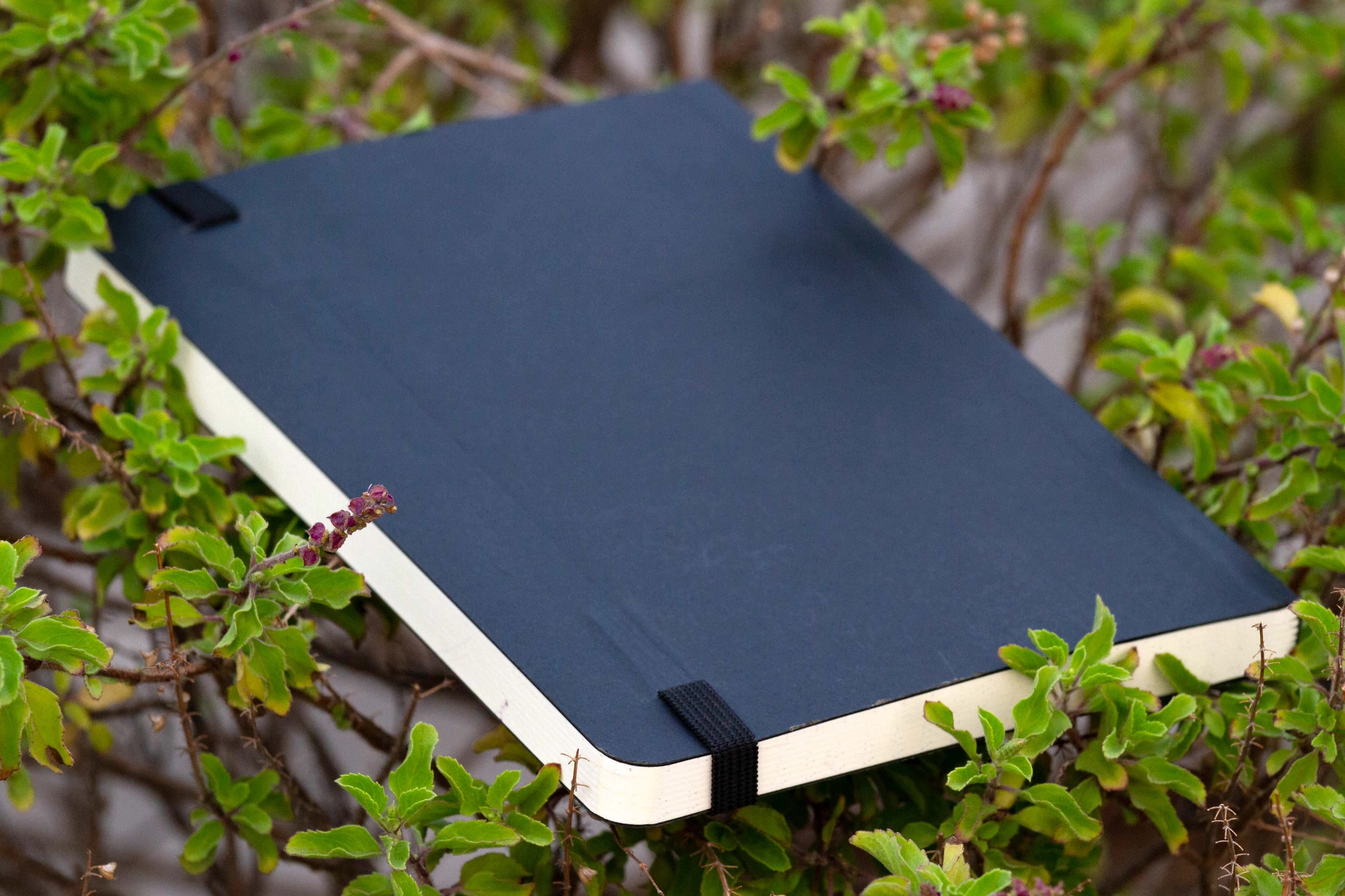 Picture of Daily Journal Dotted Black Notebook with Elastic Band
