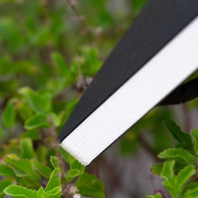 Picture of Daily Journal Dotted Black Notebook with Elastic Band