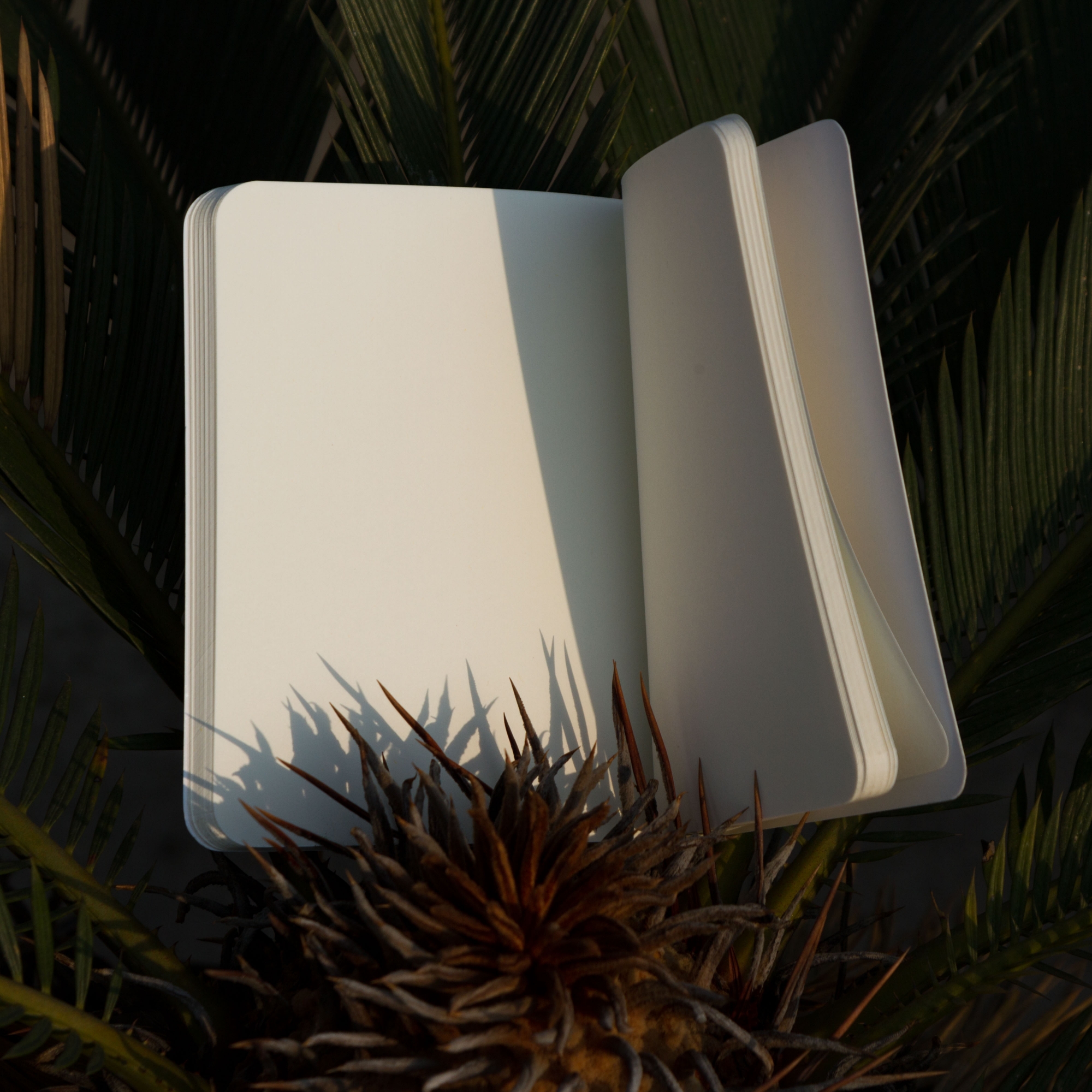 Picture of Chela La Pass & Darjeeling Notebook (SN20225129 & SN202108154) 2-Pack