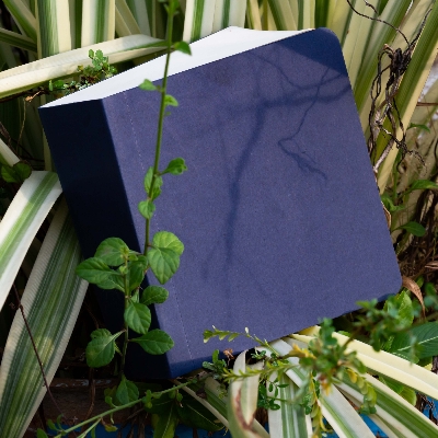 Picture of Sevendaysnotes 365 Days Blue Cover Notebook
