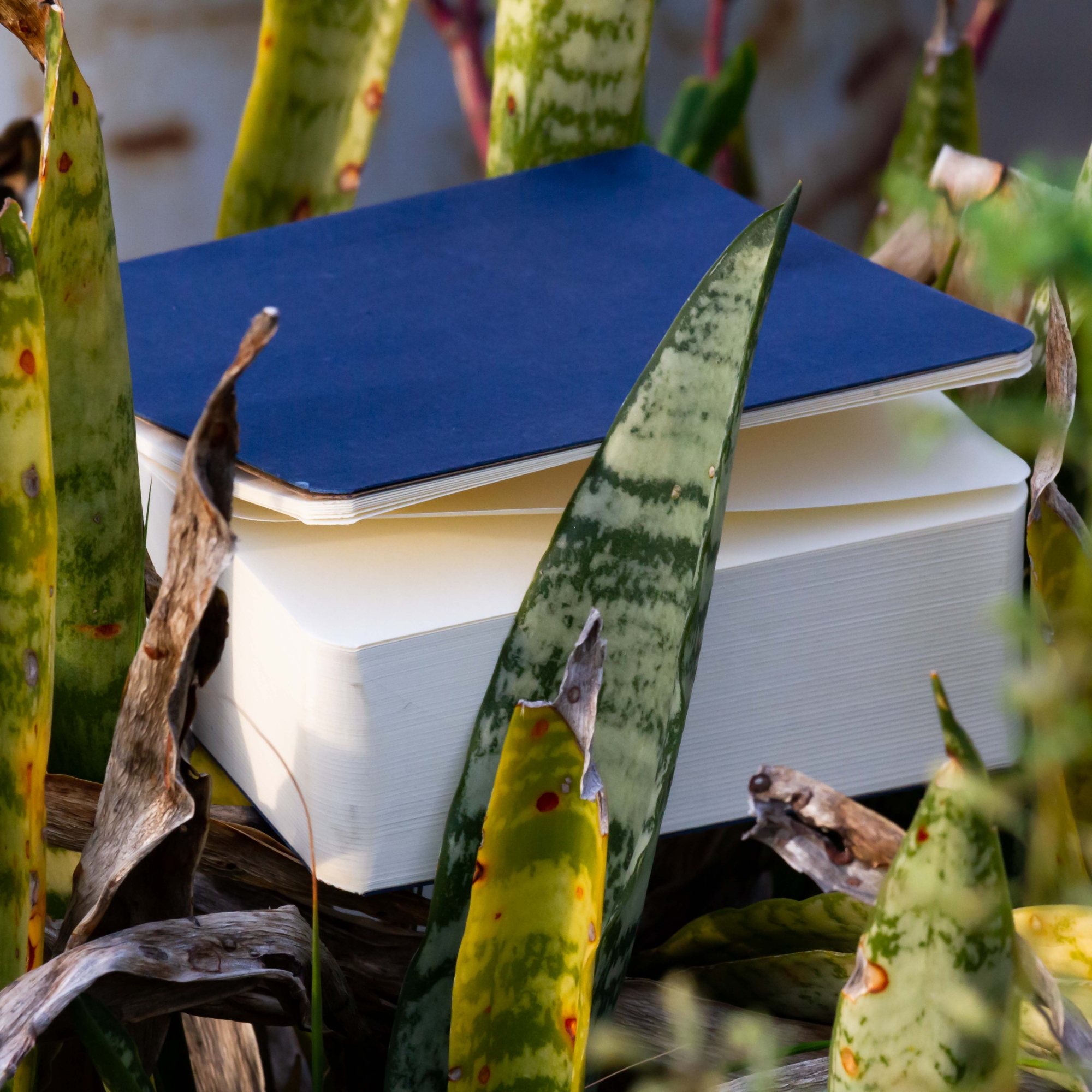 Picture of Sevendaysnotes 365 Days Blue Cover Notebook