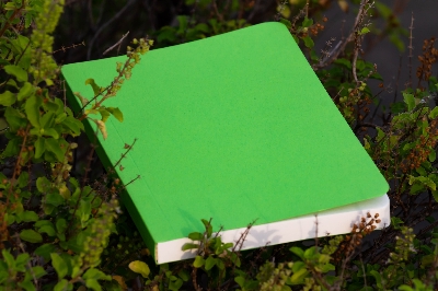 Picture of Tent Series Green Cover Notebook