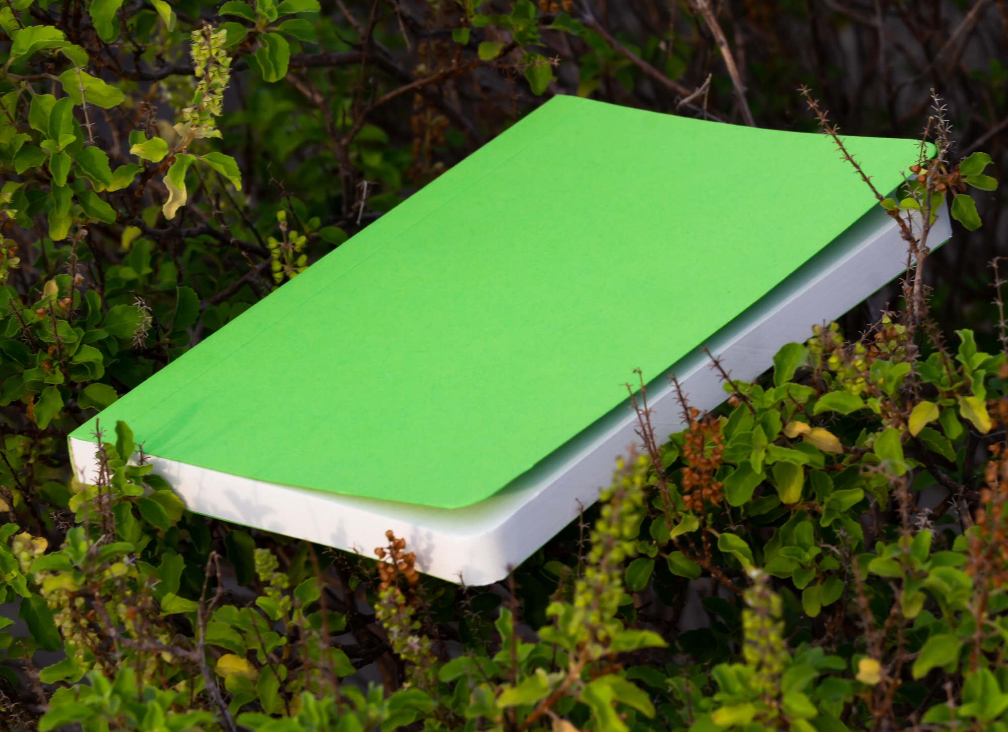 Picture of Tent Series Green Cover Notebook