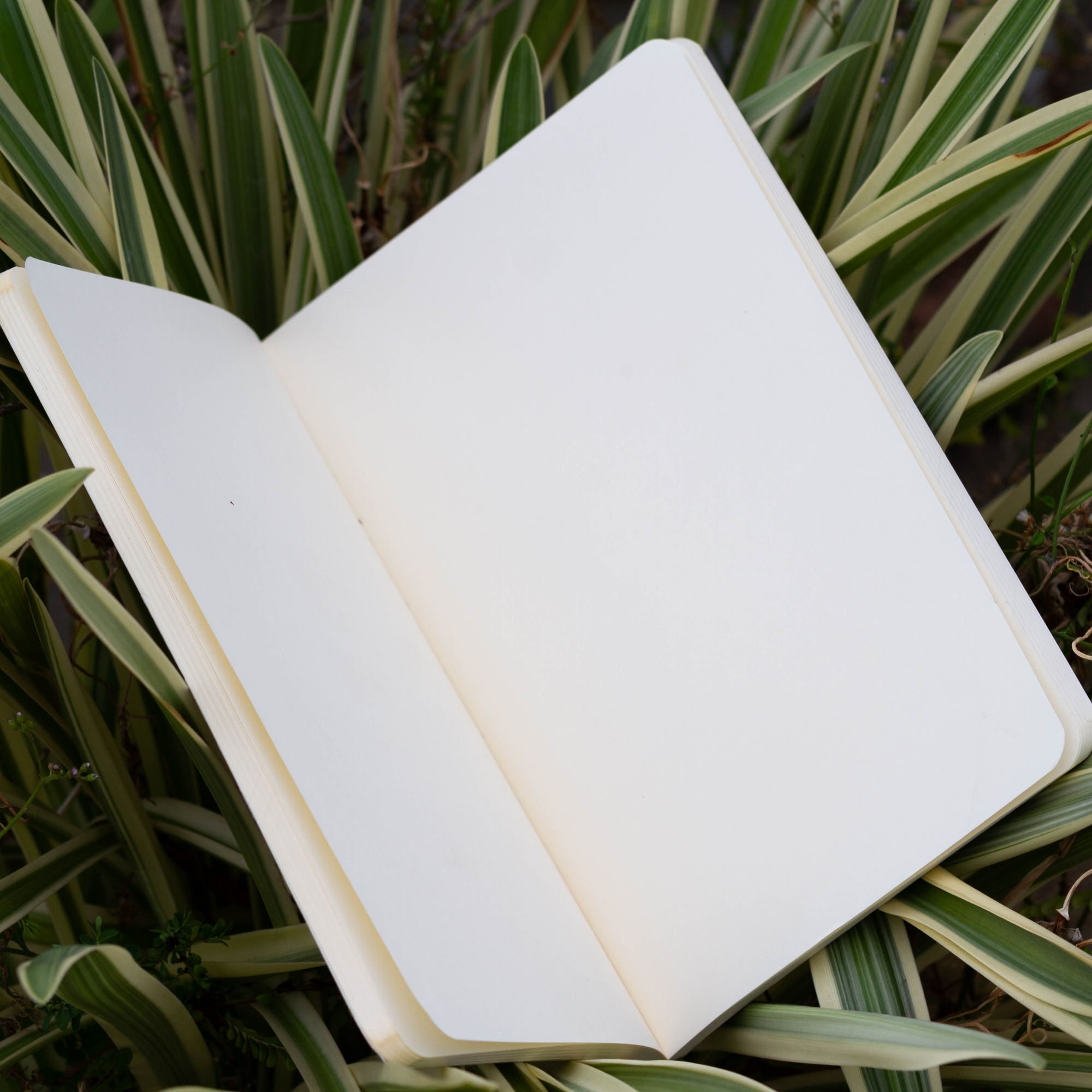 Picture of Tent Series Green Cover Notebook