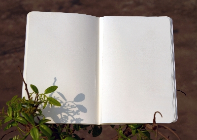 Picture of Argentina World Cup Football Team Notebook (SN202206185)