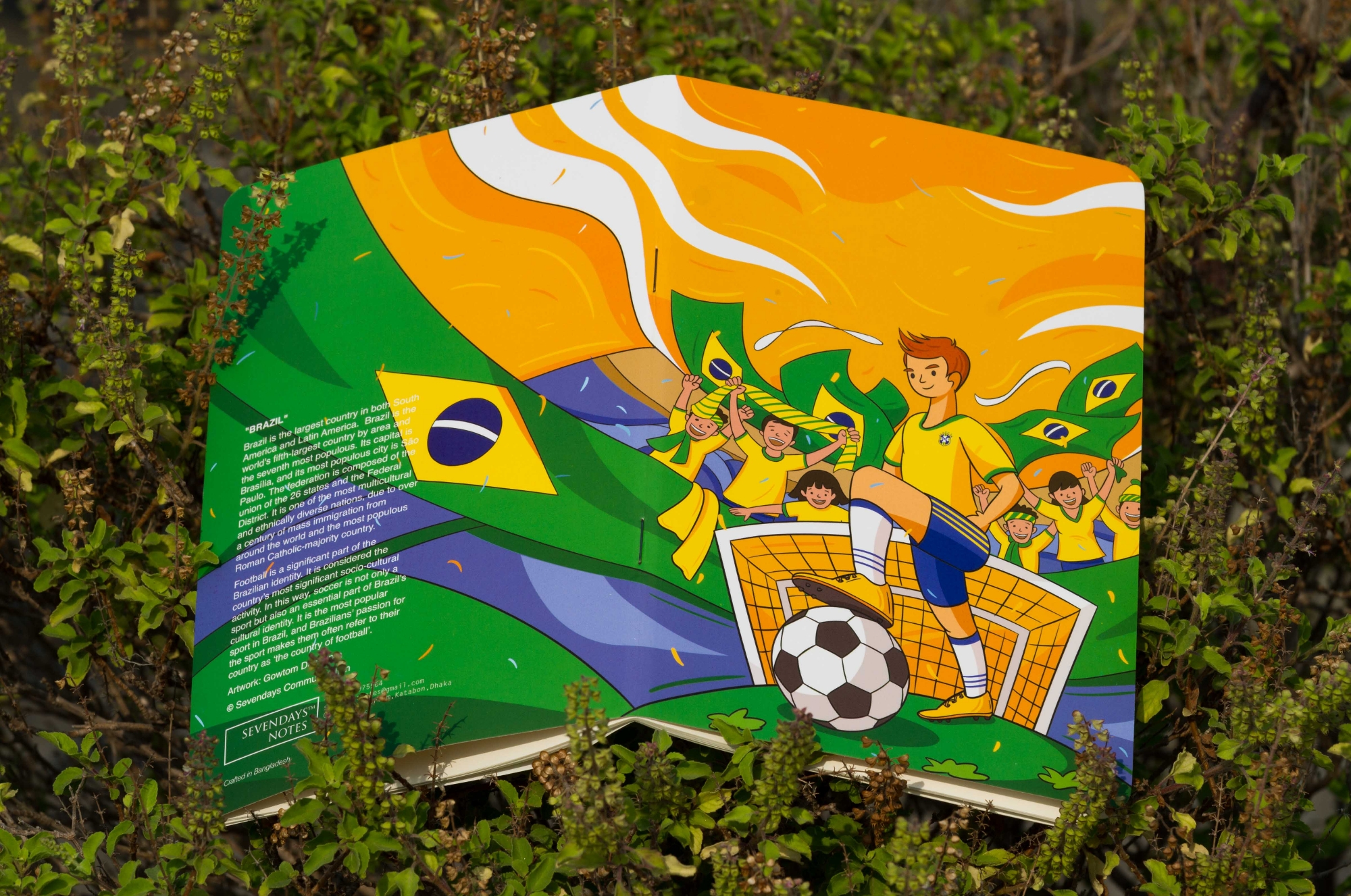 Picture of Brazil World Cup Football Team Notebook (SN202206186)
