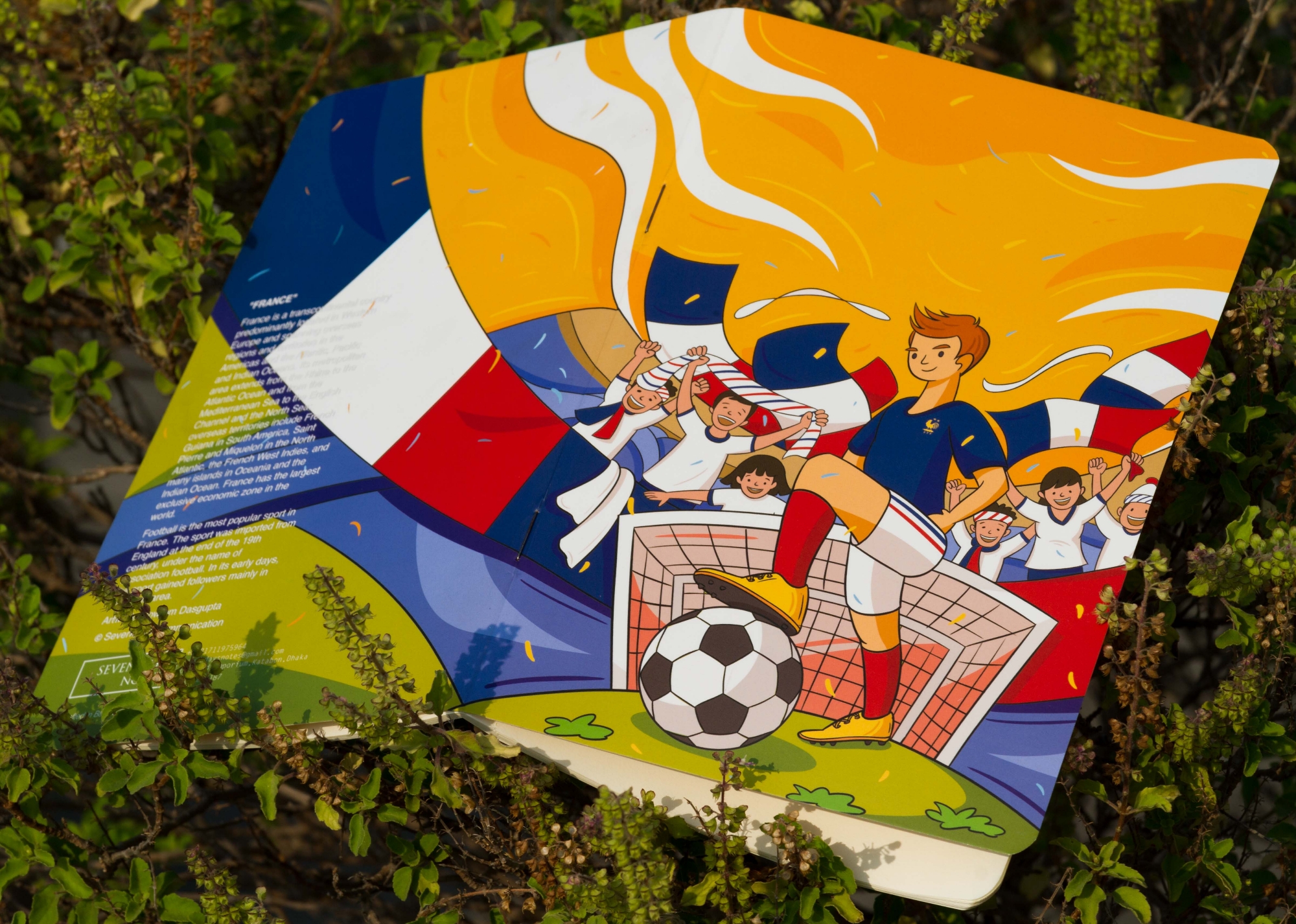 Picture of France World Cup Football Team Notebook (SN202206187)