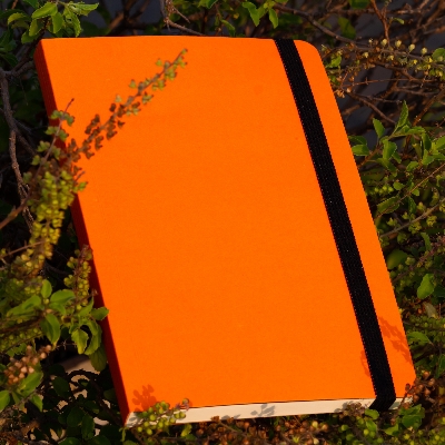 Picture of Daily Journal Orange Notebook with Elastic Band