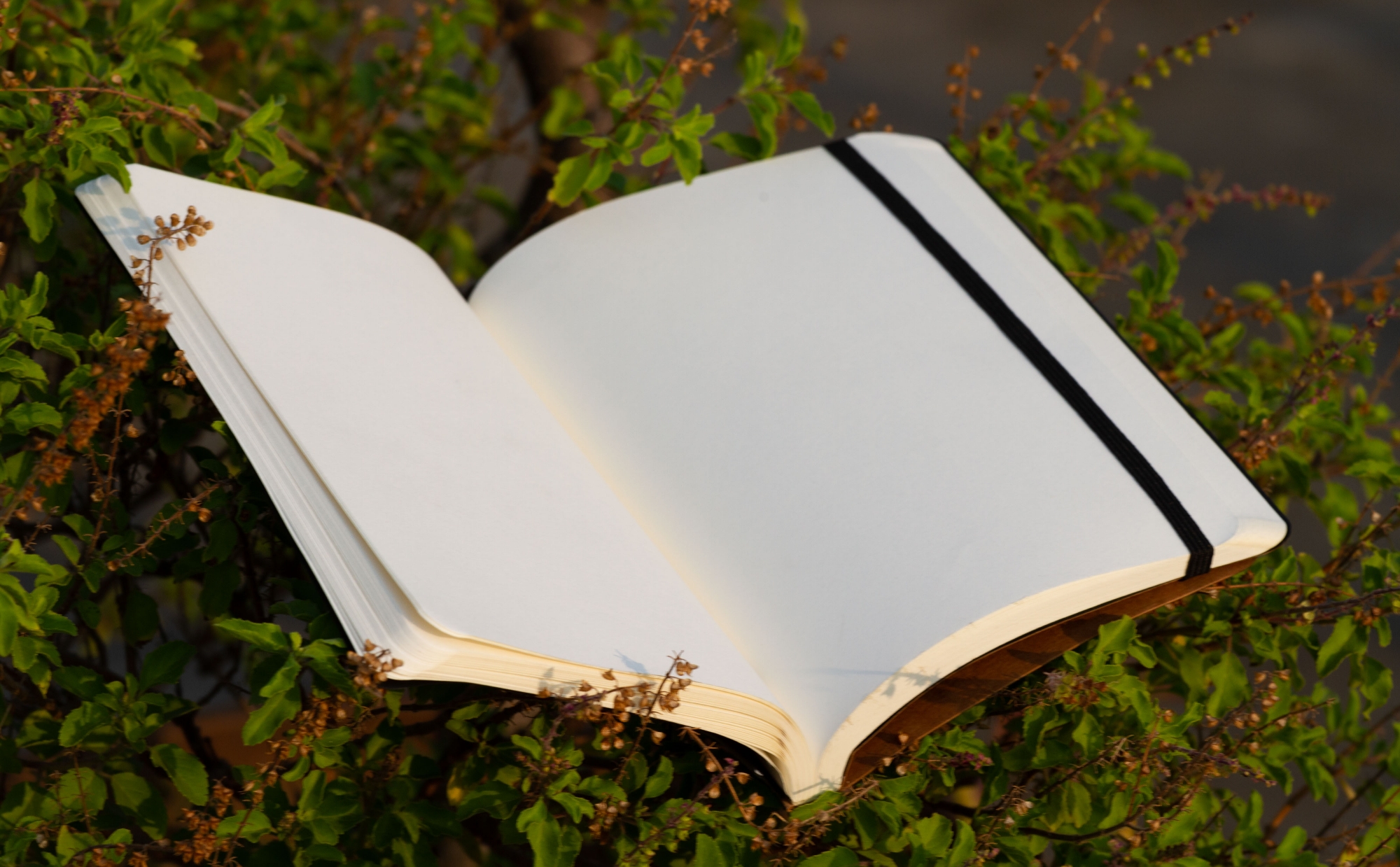 Picture of Daily Journal Orange Notebook with Elastic Band