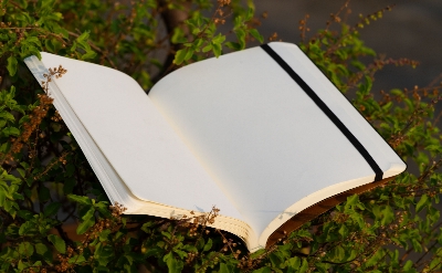 Picture of Daily Journal Orange Notebook with Elastic Band