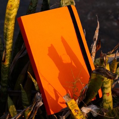 Picture of Daily Journal Orange Notebook with Elastic Band