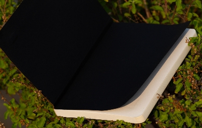 Picture of Daily Journal Orange Notebook with Elastic Band