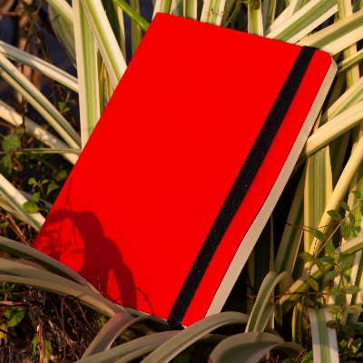 Picture of Daily Journal Red Notebook with Elastic Band