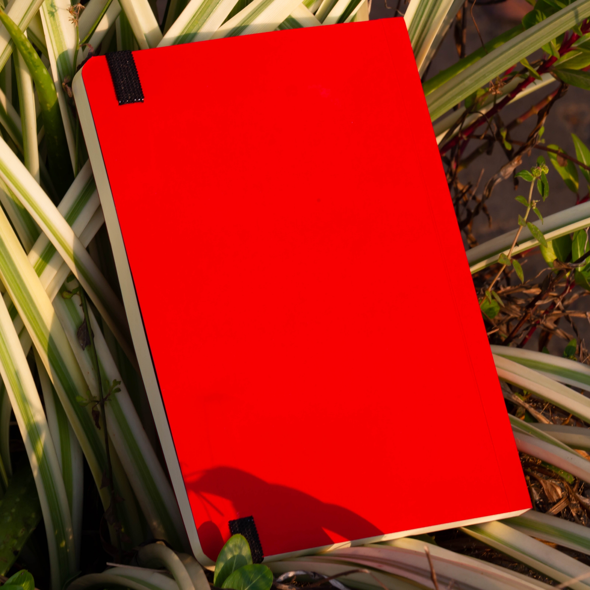 Picture of Daily Journal Red Notebook with Elastic Band