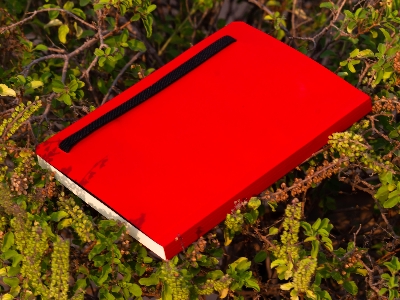 Picture of Daily Journal Red Notebook with Elastic Band