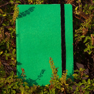Picture of Daily Journal Green Notebook with Elastic Band