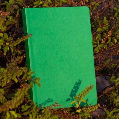 Picture of Daily Journal Green Notebook with Elastic Band