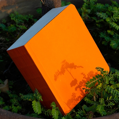 Picture of 365 Days Orange Cover Notebook