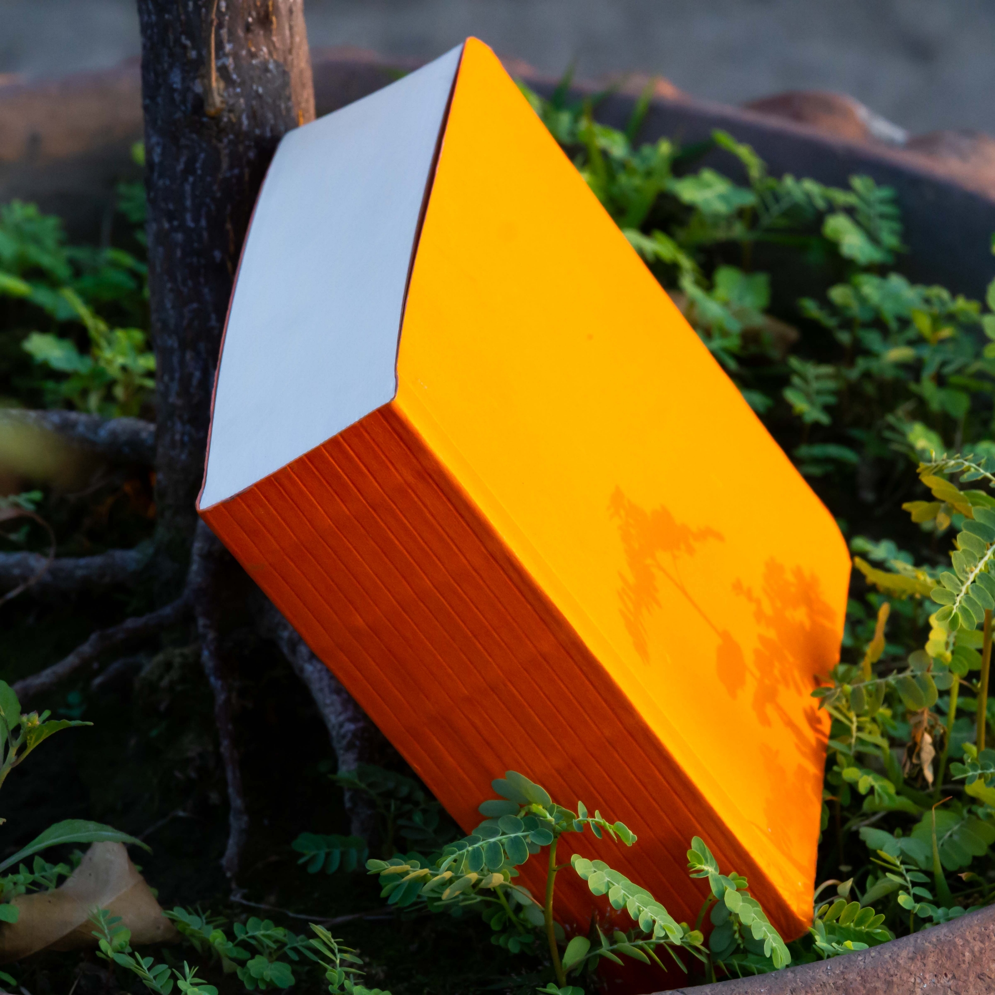 Picture of 365 Days Orange Cover Notebook