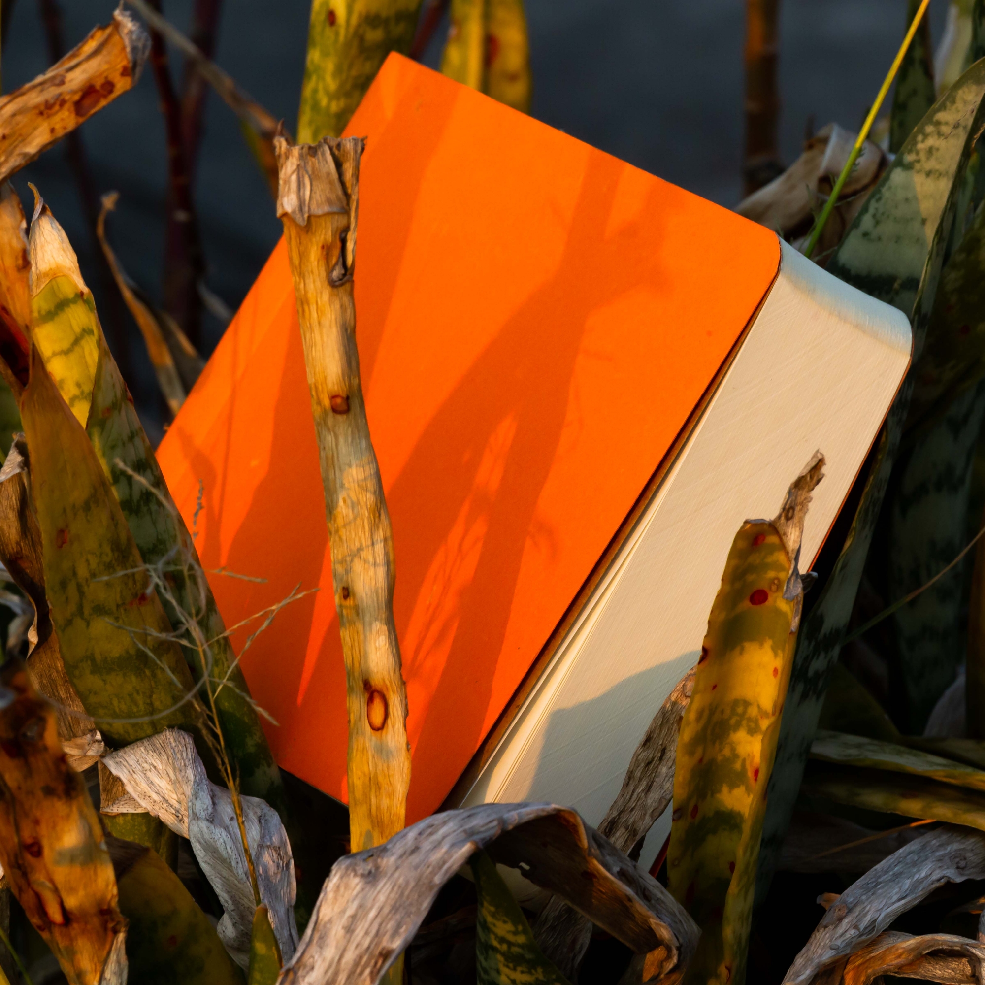 Picture of 365 Days Orange Cover Notebook