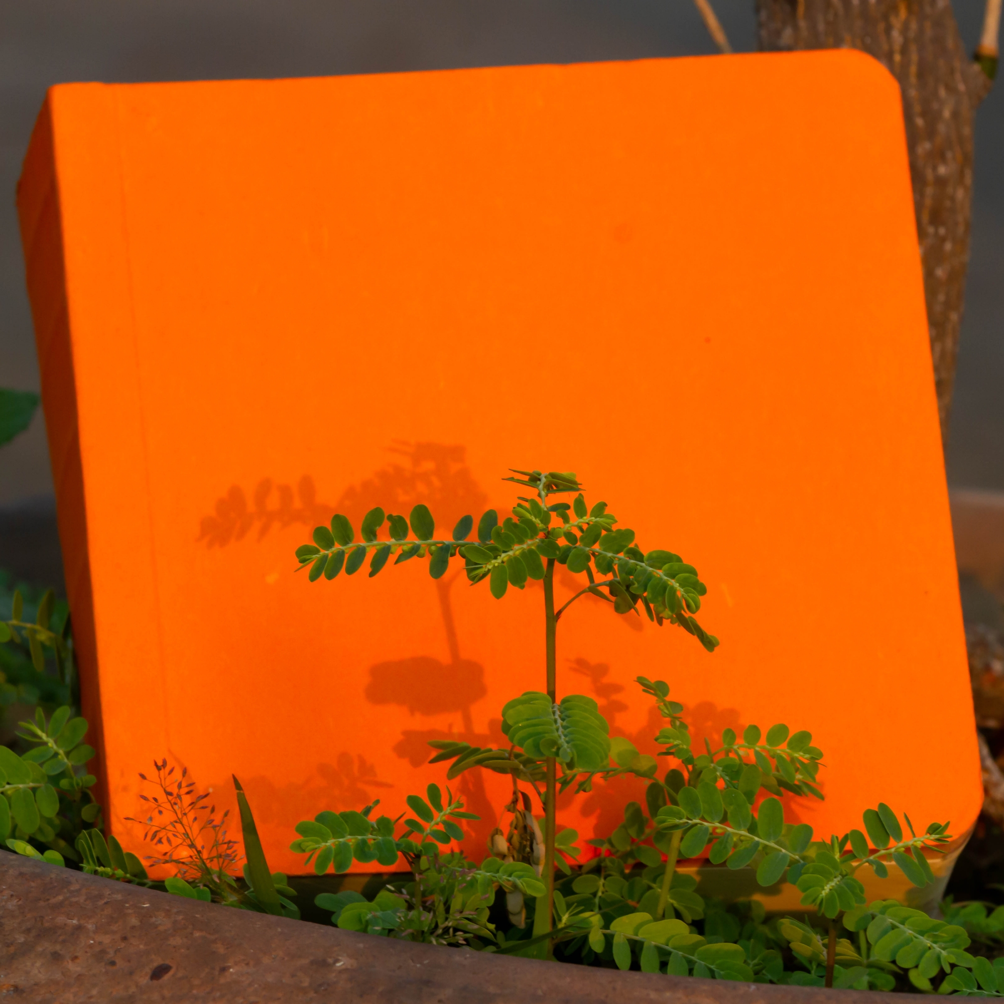 Picture of 365 Days Orange Cover Notebook