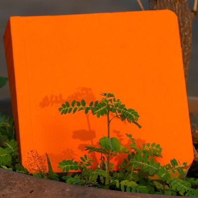 Picture of 365 Days Orange Cover Notebook