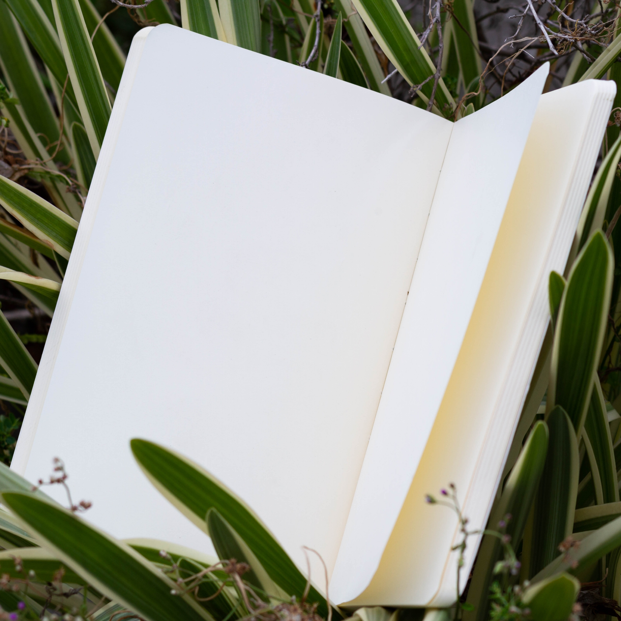 Picture of Work Size Dhaka Notebook with Badge (SN202008122)