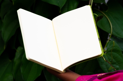 Picture of Olive Green Texture Notebook (Jute Handmade Board Cover)