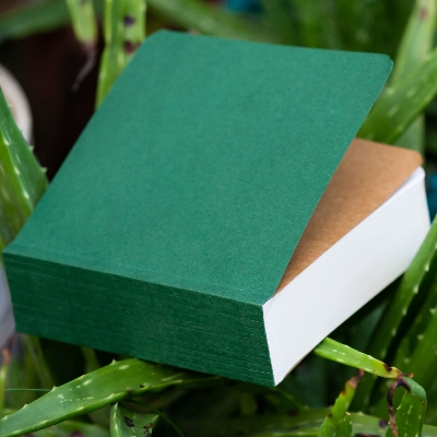 Picture of Sevendaysnotes 365 Days Green Cover Notebook